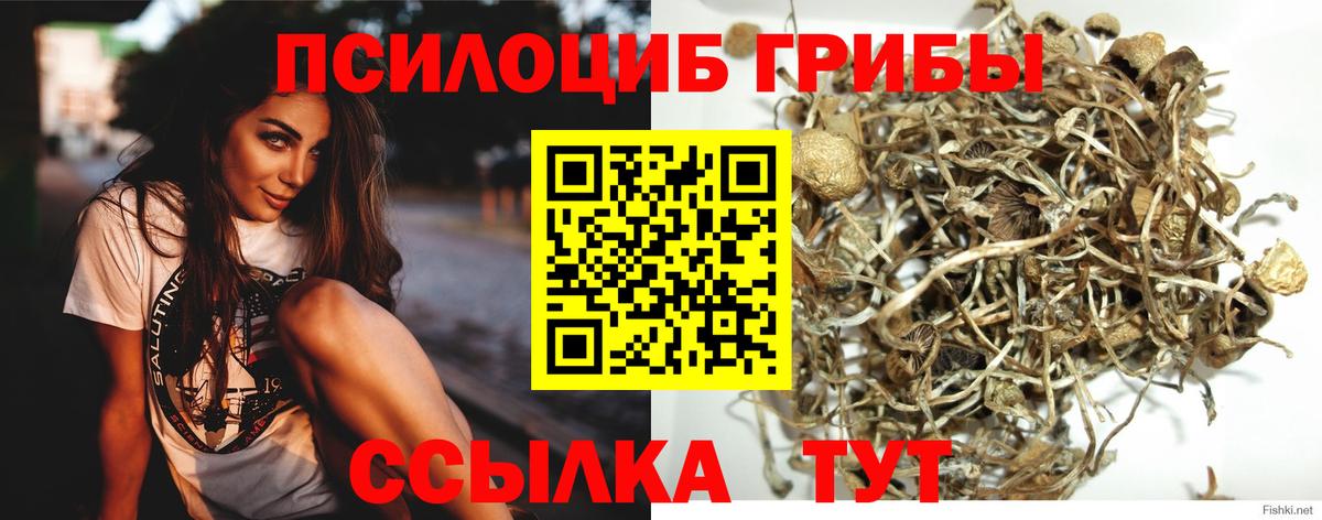 Киреевск  Псилоцибиновые грибы MAGIC MUSHROOMS  Вход с VPN 